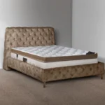 تشک مونسا مدل فرونیا