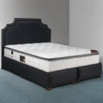 تشک مونسا مدل فونیکس پد