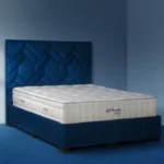 تشک مونسا مدل پاشا