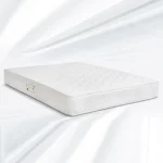 تشک رویا مدل بونل 1